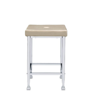 Raine Counter Height Stool (Set-2)