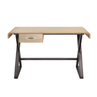 Danton Desk 541 Furniture Gallery